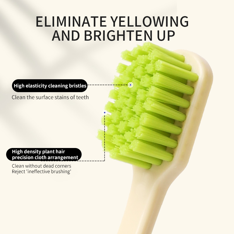 Cheap Price PBT Soft Adult Toothbrush Plastic Toothbrush with Individual Blister Card