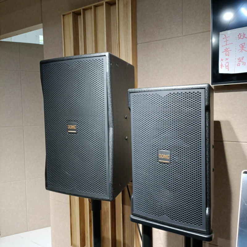 13. Domc K210 10-Inch Speaker: Enhance Your Studio Monitoring Experience