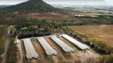 Complete Automatic Type Medium Scale 10000 Broilers House Prefabricated Poultry Shed Insulated Chicken Coop Poultry House/Chicken Pen
