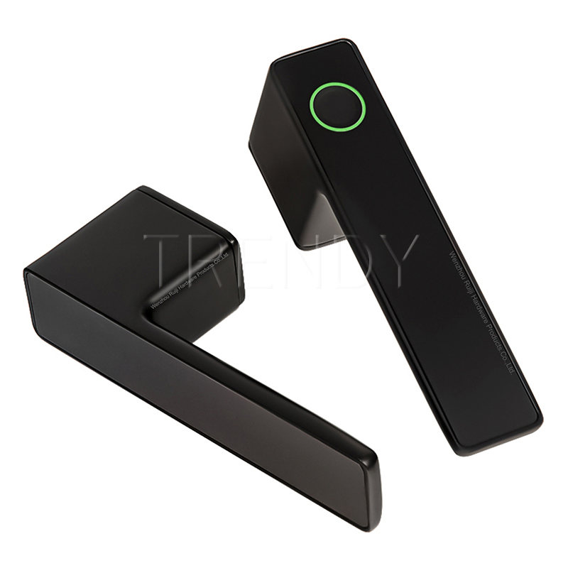 Electronic Smart Lock Handle Two Part Removable Piece Cover Door Lock Tt Tuya APP Fingerprint Door Handle (STS006)