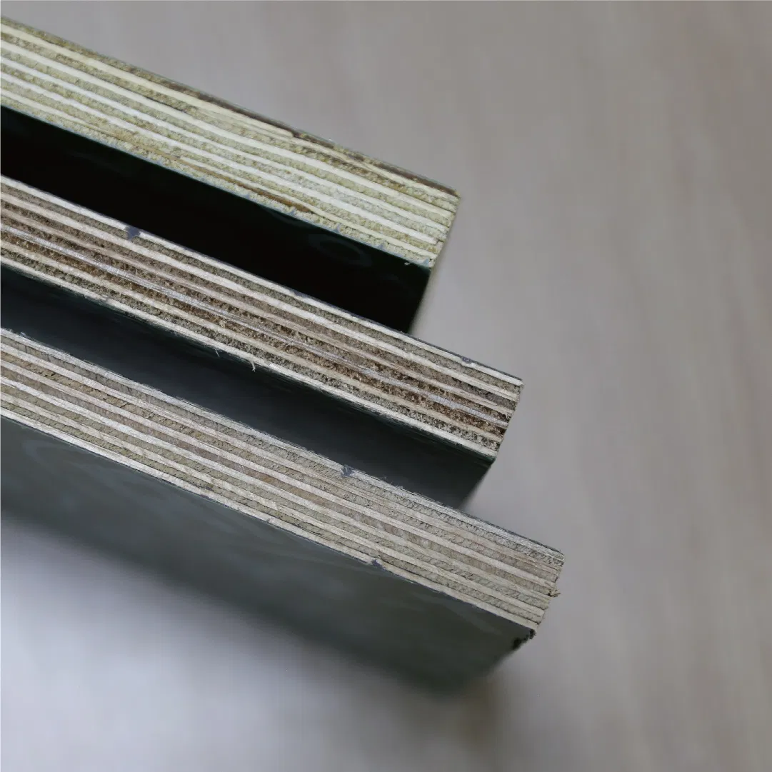 Eco-Friendly 18mm Green PP Plastic Plywood for Outdoor Use