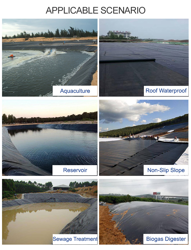 HDPE Geomembrane Black Plastic Rolls for Shrimp Hatchery Fish Pond