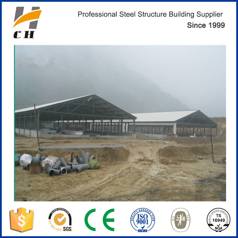 Factory Supplies Low Price High Qualit Modular Steel Structure Cow Shed/Dairy Farm Shed Building/Steel Structure Poultry Farm/Shed