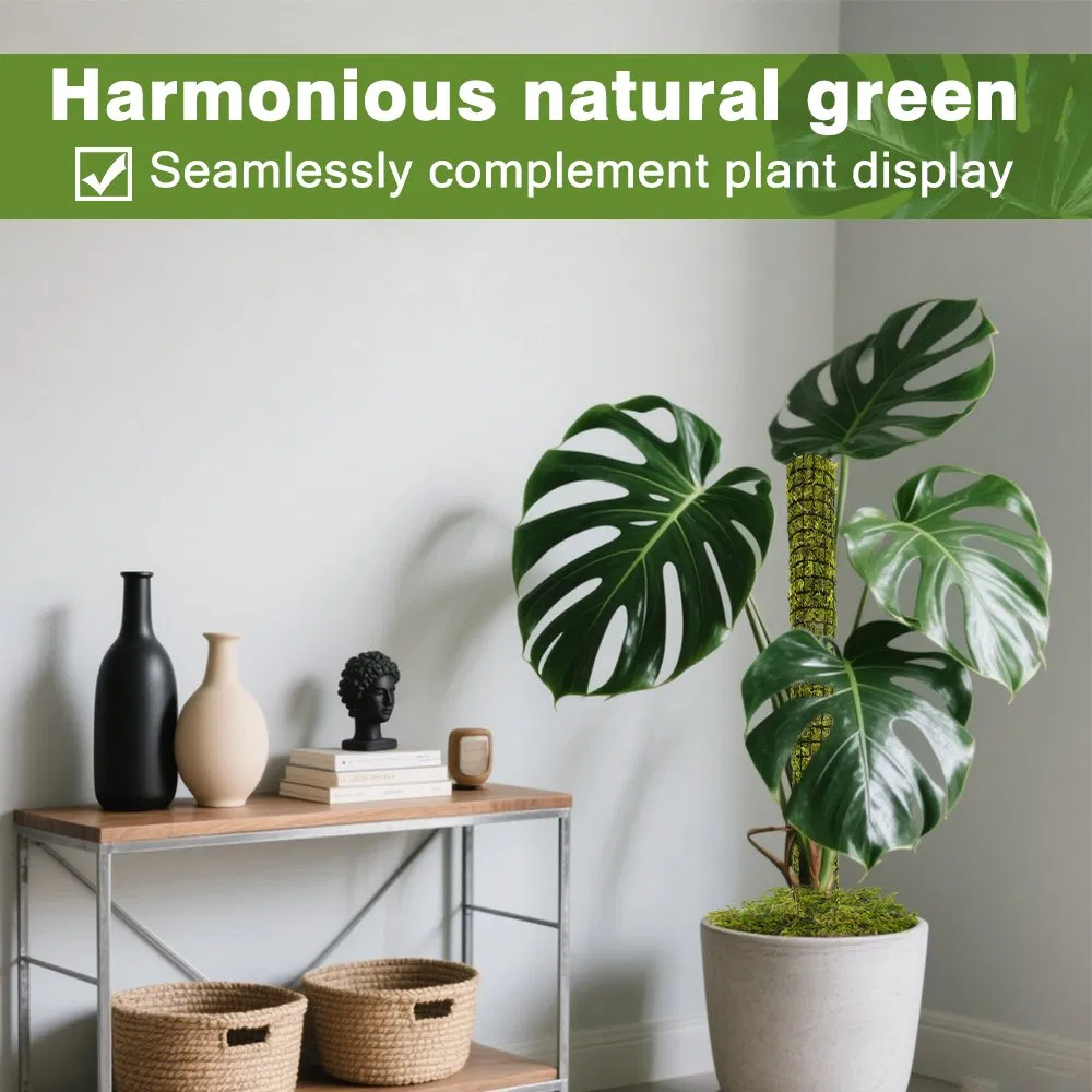 Epiphyte-Friendly Green Moss Plant Support Pole for Orchid Aerial Roots Syngonium Climbers