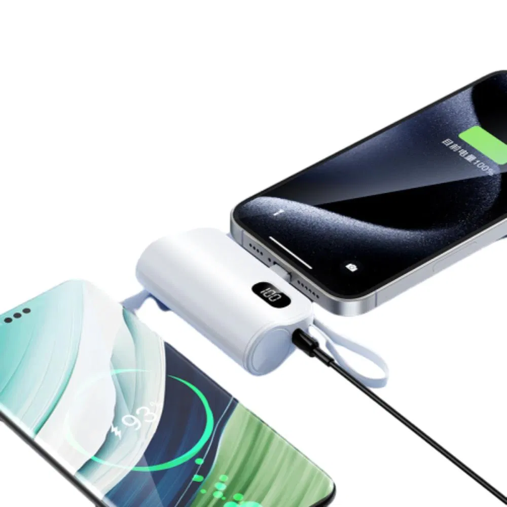 Hot Sale New Dual Plug Portable Mini Capsule Holder Power Bank