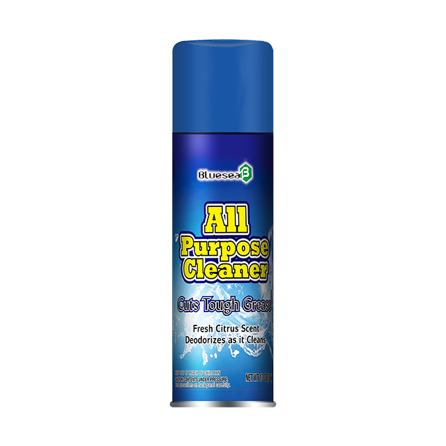 Multifunction Home Cleaning Spray Bottle Auto Glass Foam Cleaner