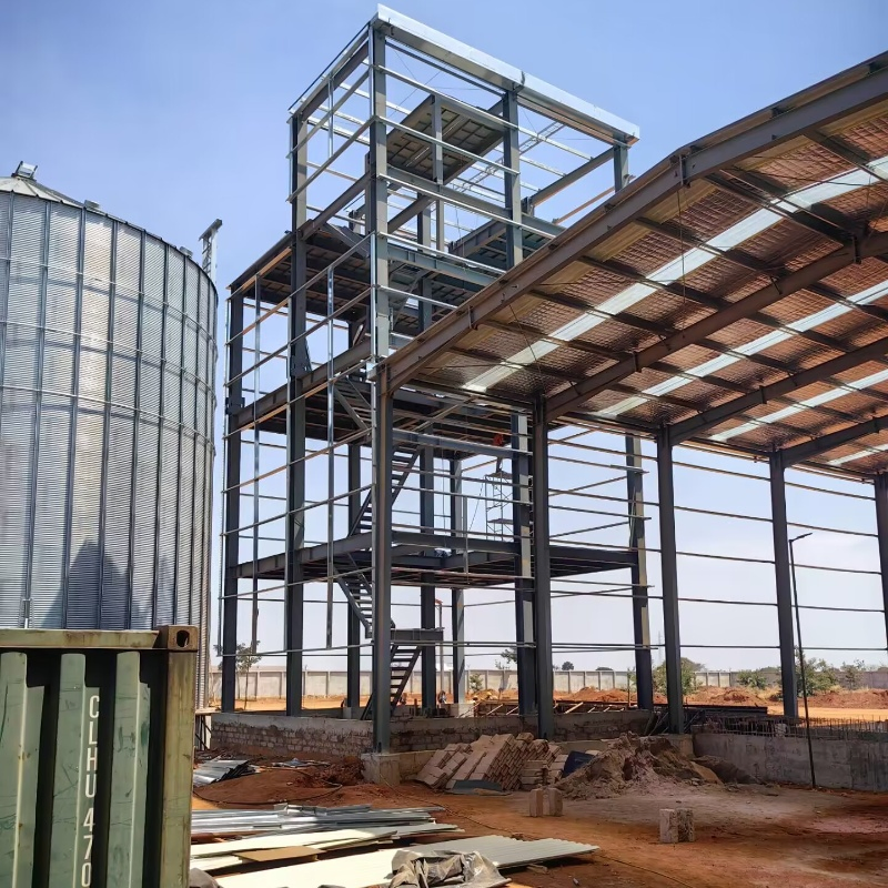 Popular Wholesale Industrial Prefabricated Steel Structure Mill Plant with Low Cost