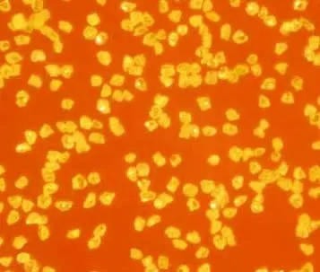 Полировальный порошок синтетический алмазный HPHT