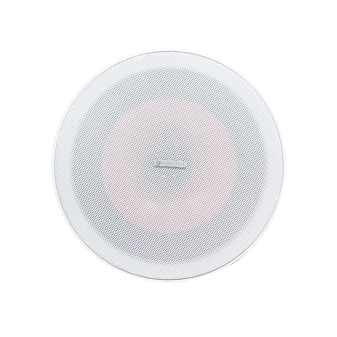 Hi-Fi Sound 2 Channel Home Theater System with 100W Amplifier and 6 Inch 30W Ceiling Speakers