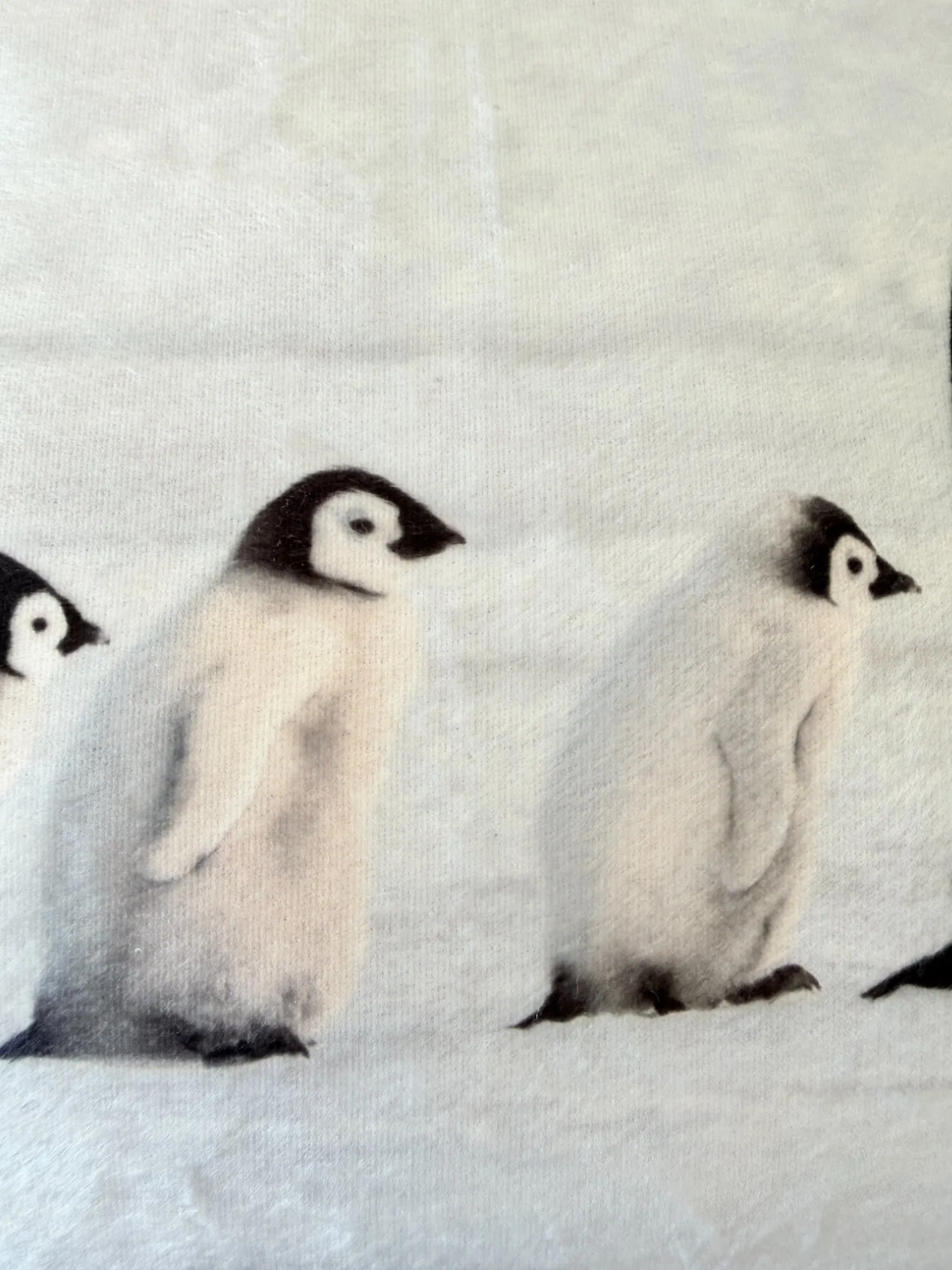 White Penguins Print Polyester Velvet Square Throw Pillow with Polyester Padding for Garden Outside or Home Decoration