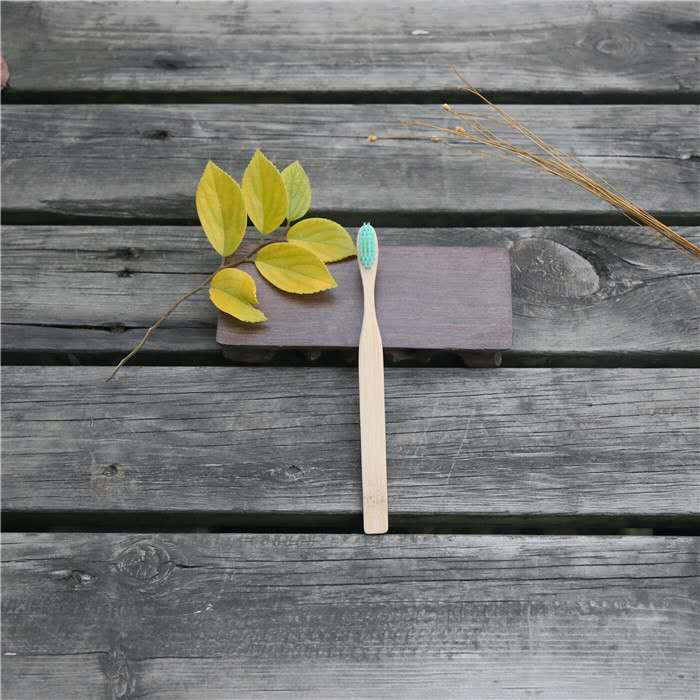 Bamboo Toothbrush with Customised Packing and Logo for Hotels, Travel