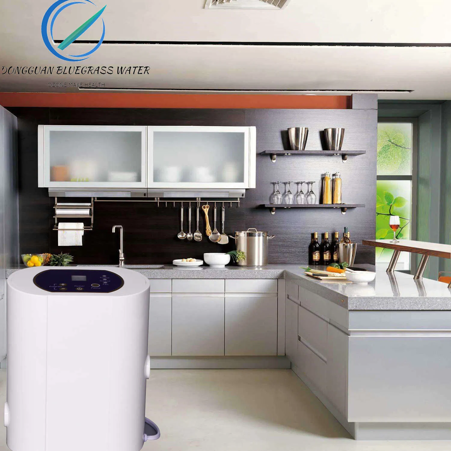 Home Ozone Generator Air Water Treatment Machine Vegetable & Fruit Purifier 800mg/H Ozonizer