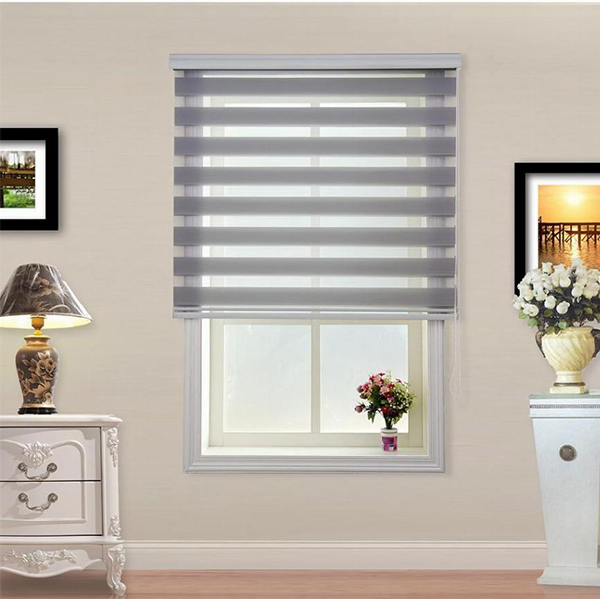 Customized Day and Night Zebra Blinds