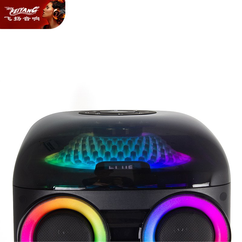 Feiyang Newest Design Wooden Outdoor Party Speaker with New Light Fg210-30