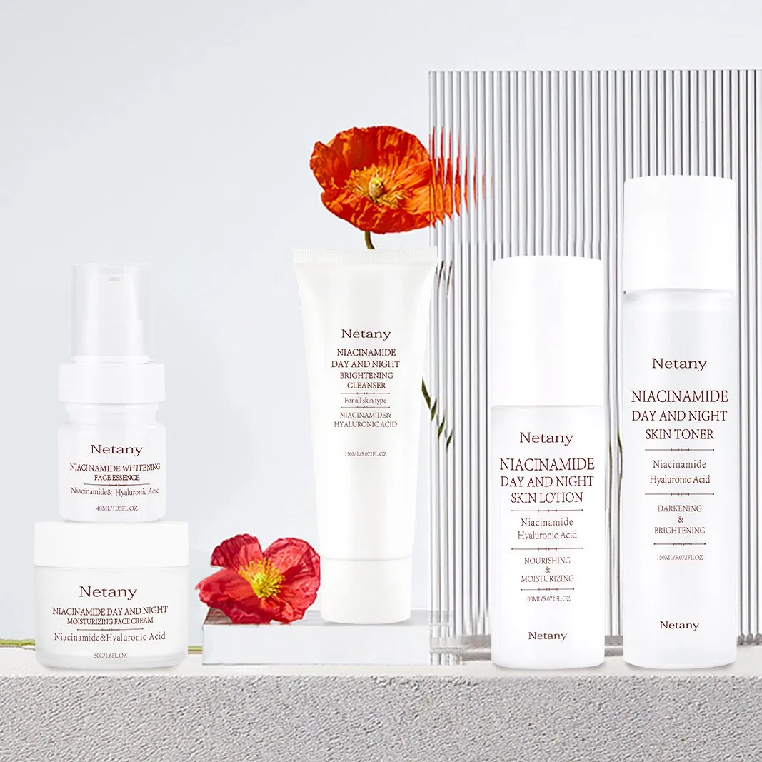 Cosmetics Niacinamide Brightening Skin Care Set Reduce Dullness and Achieve Radiant Skin Serum for a Whiter Complexion