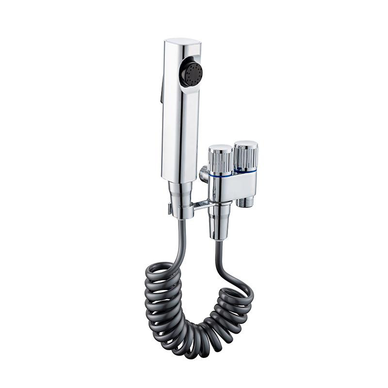 Toilet Companion Spray Gun Set Women's Wash Spray Gun