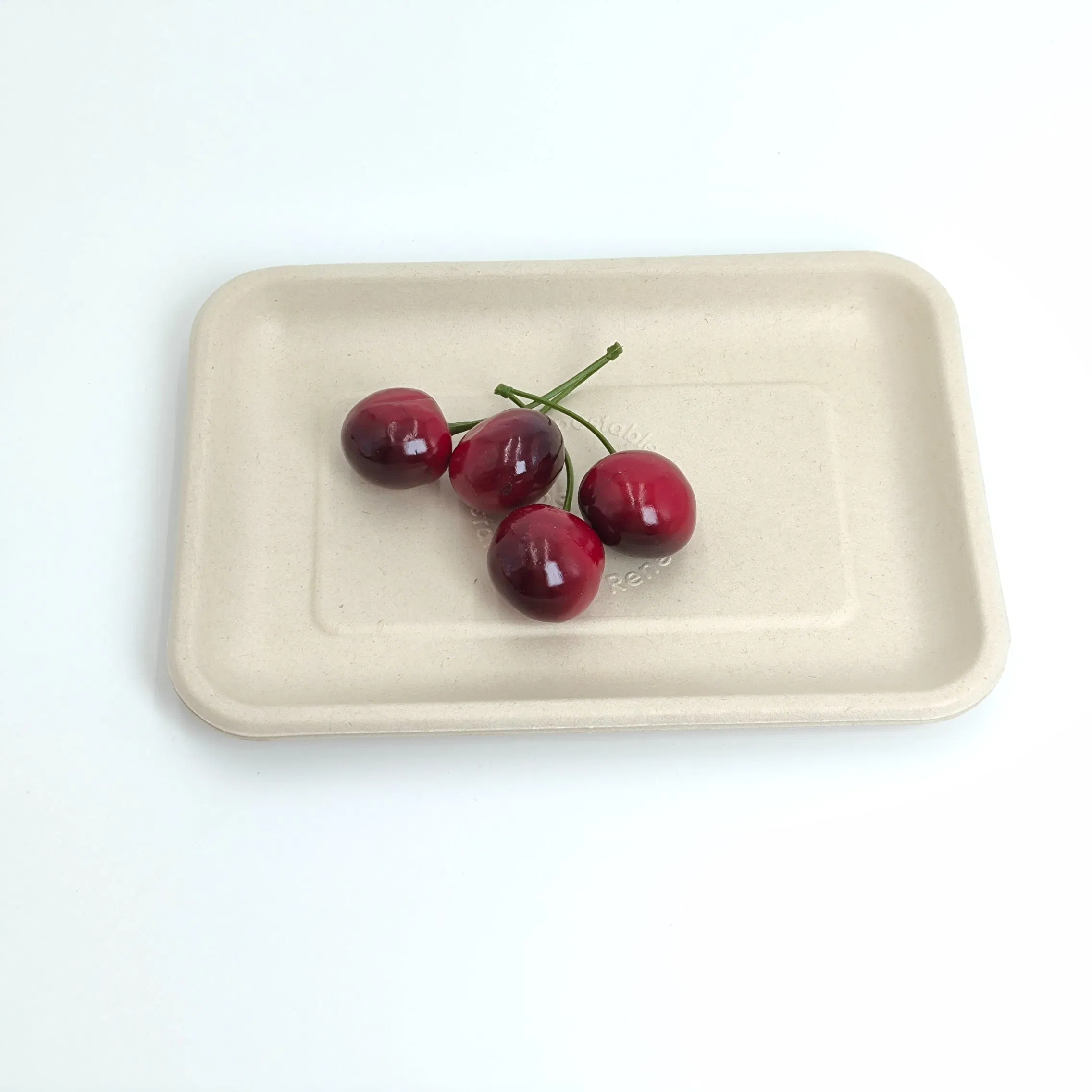 Biodegradable Compostable Sugarcane Bagasse Paper Pulp Tableware Biodegradable Fruit Tray