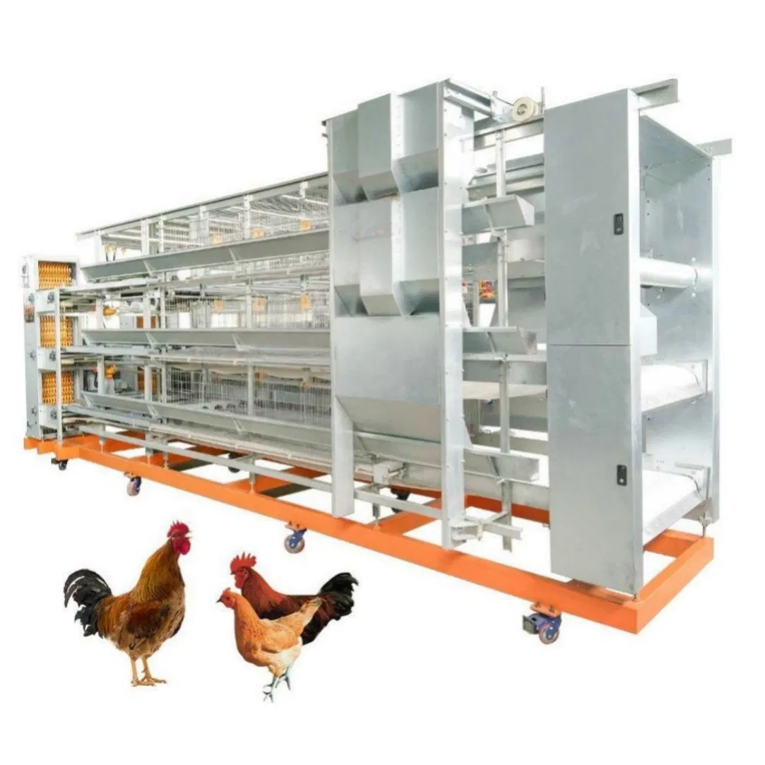 Chicken Cage Sloped Floor Design for Egg Rolling in Layer Farm Poultry Equipment