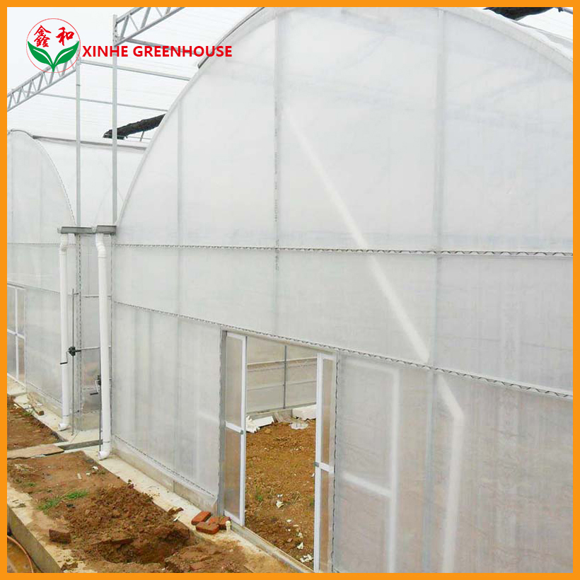 Po Film Customized Agriculture Multi Span Garden Agro Warm Greenhouses
