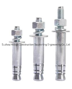 Stainless Steel Expansion Bolt// Drop in Anchor/ Chemical Anchor/Sleeve Anchor