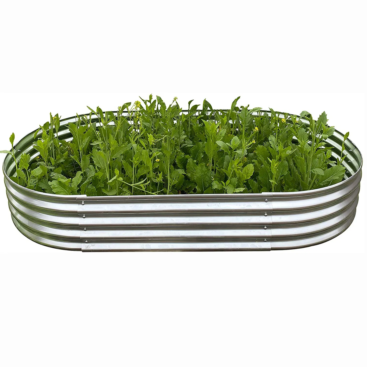 New Style Oval/Circular Galvanized Steel Raised Garden Bed for Vegetable Flower Planter