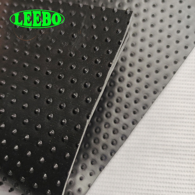 HDPE 2.5mm Double Sides Textured Widely Used Liner HDPE Geomembrane for Dam