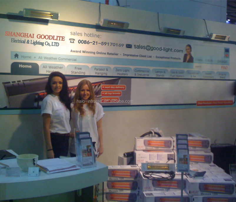 1500W Electric IP65 Patio Heater