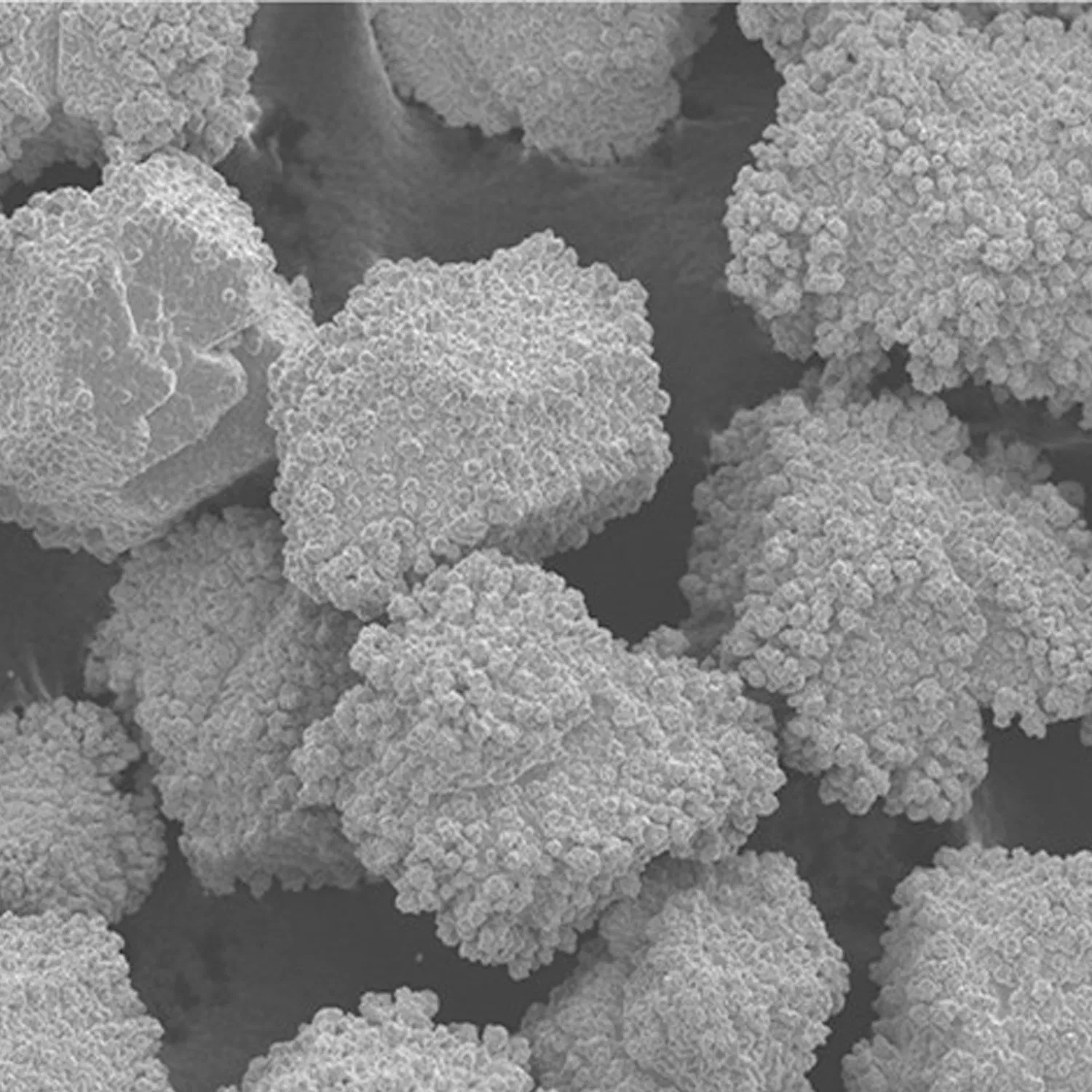 High Quality Coated CBN Diamond for Grinding Wheel Electroplated CBN Grinding Wheel