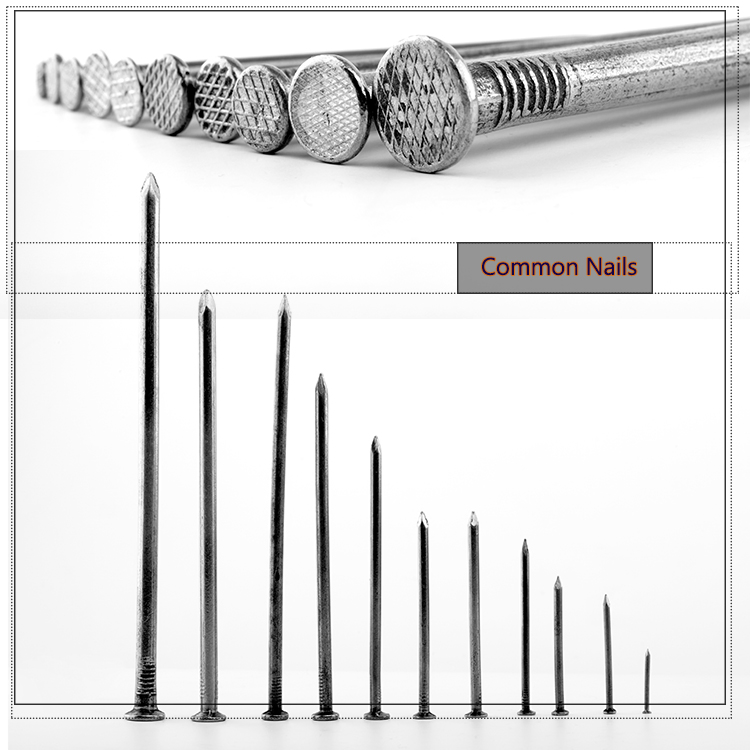 6cm Common Nail with Smooth Shank F