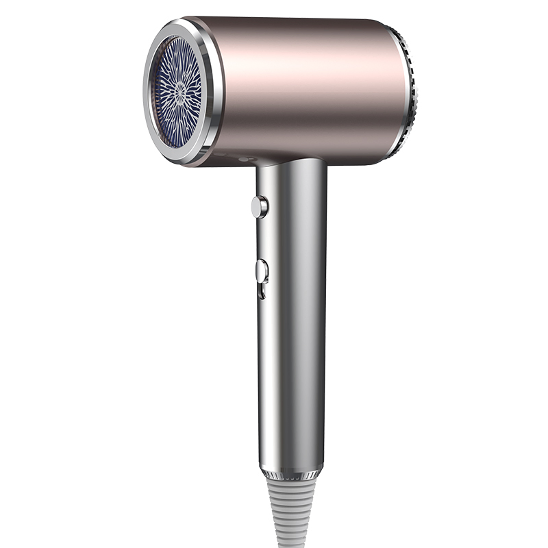 Professional Negative Ionic Hair Dryer for Home Use Hairdryer