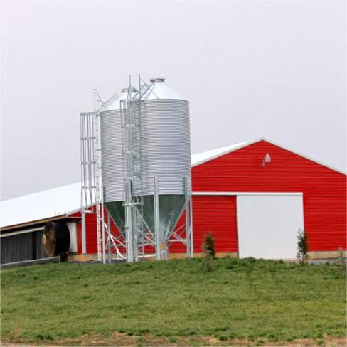 Premium Steel Chicken Coop Featuring Smart Technology Innovations
