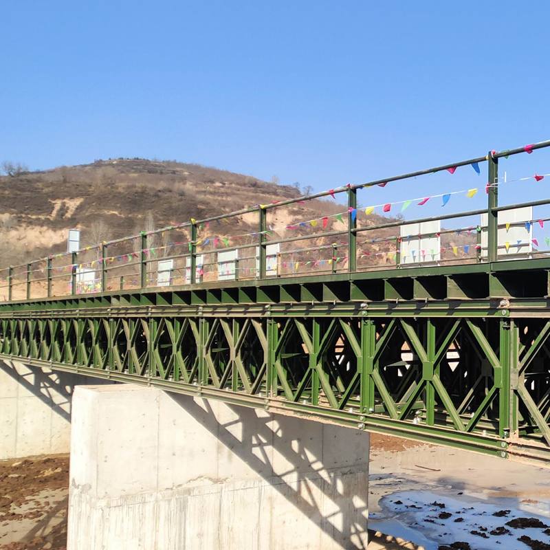 Steel Structure Pedestrian Bailey Suspension Bridge for Electronic Component