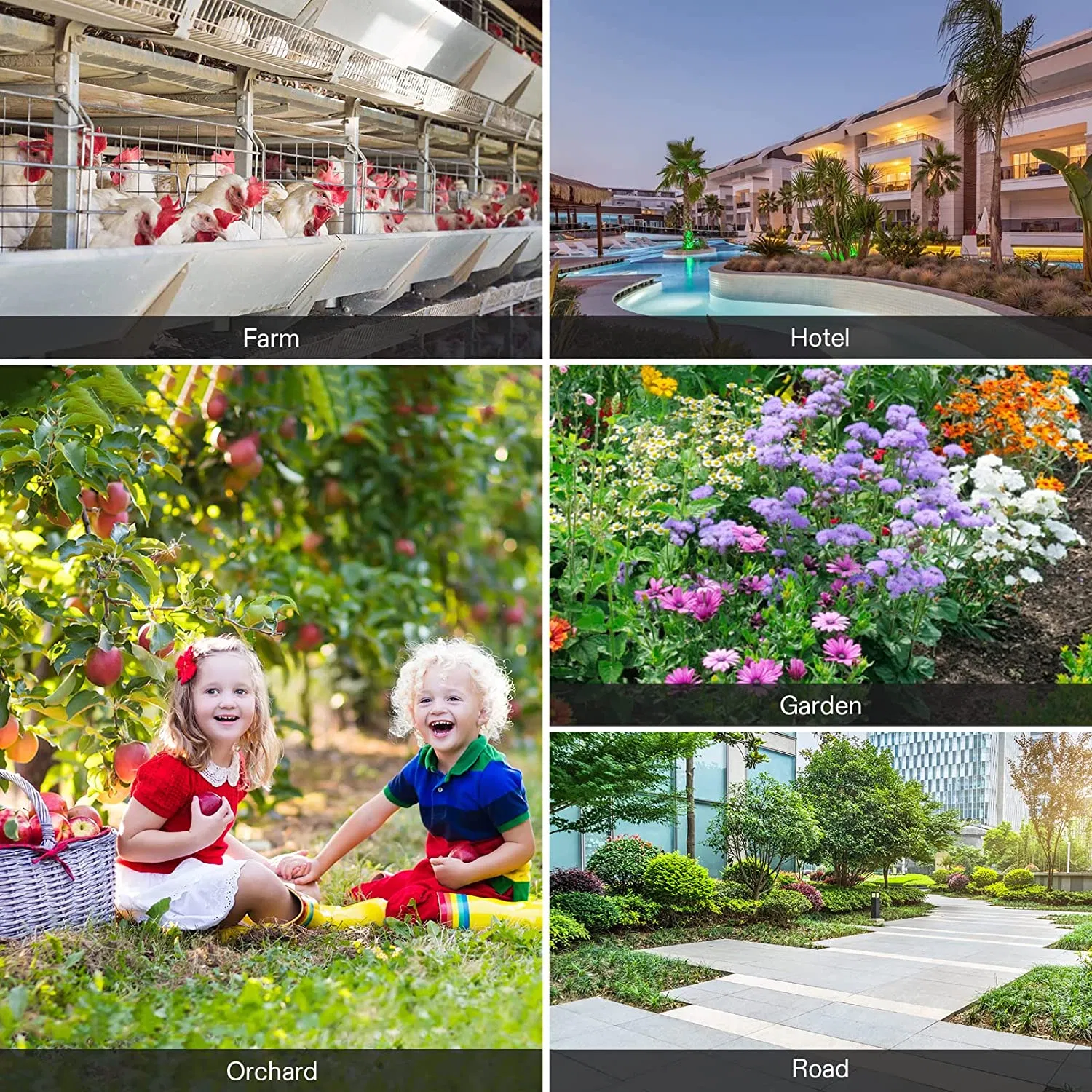 Multi-Function Household Garden Tool Disinfector Device Backpack Spray Fog Machine