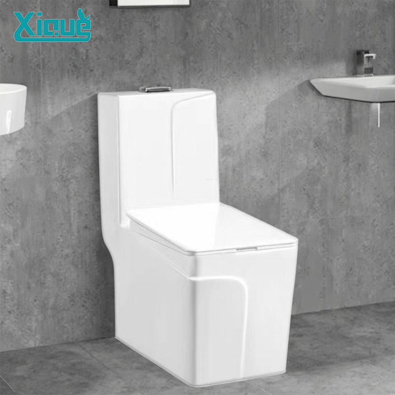 Modern S-Trap Siphon Flushing Bathroom Accessories Ceramic One Piece Chaozhou Bathroom Sanitary Ware