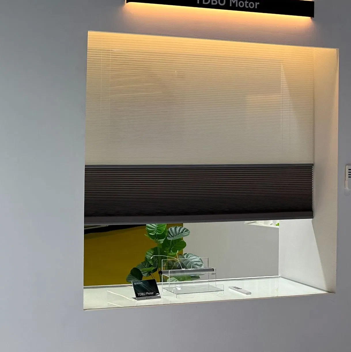 Day and Night Sun Shade Electric Honeycomb Blinds