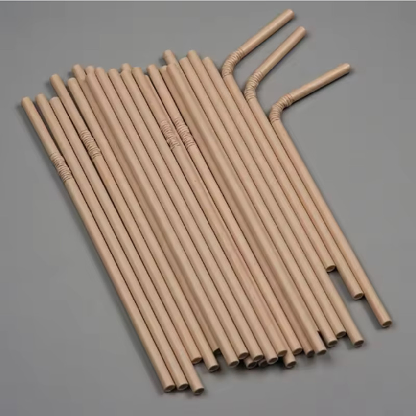 Versatile Eco Disposable Paper Straws for Events and Gatherings