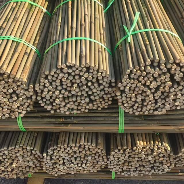 Tonkin Bamboo Poles for Agricultural Use to Support Plants Grow