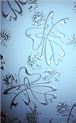 Acid Etched Glass, Art Glass
