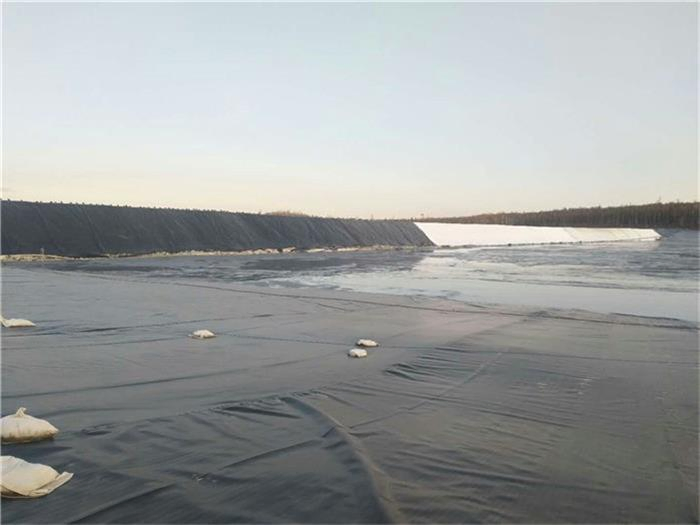 Manufacturer LDPE HDPE Geomembrane Liner HDPE Geomembranes Sheet HDPE Geomembrane Liner Geomembrana