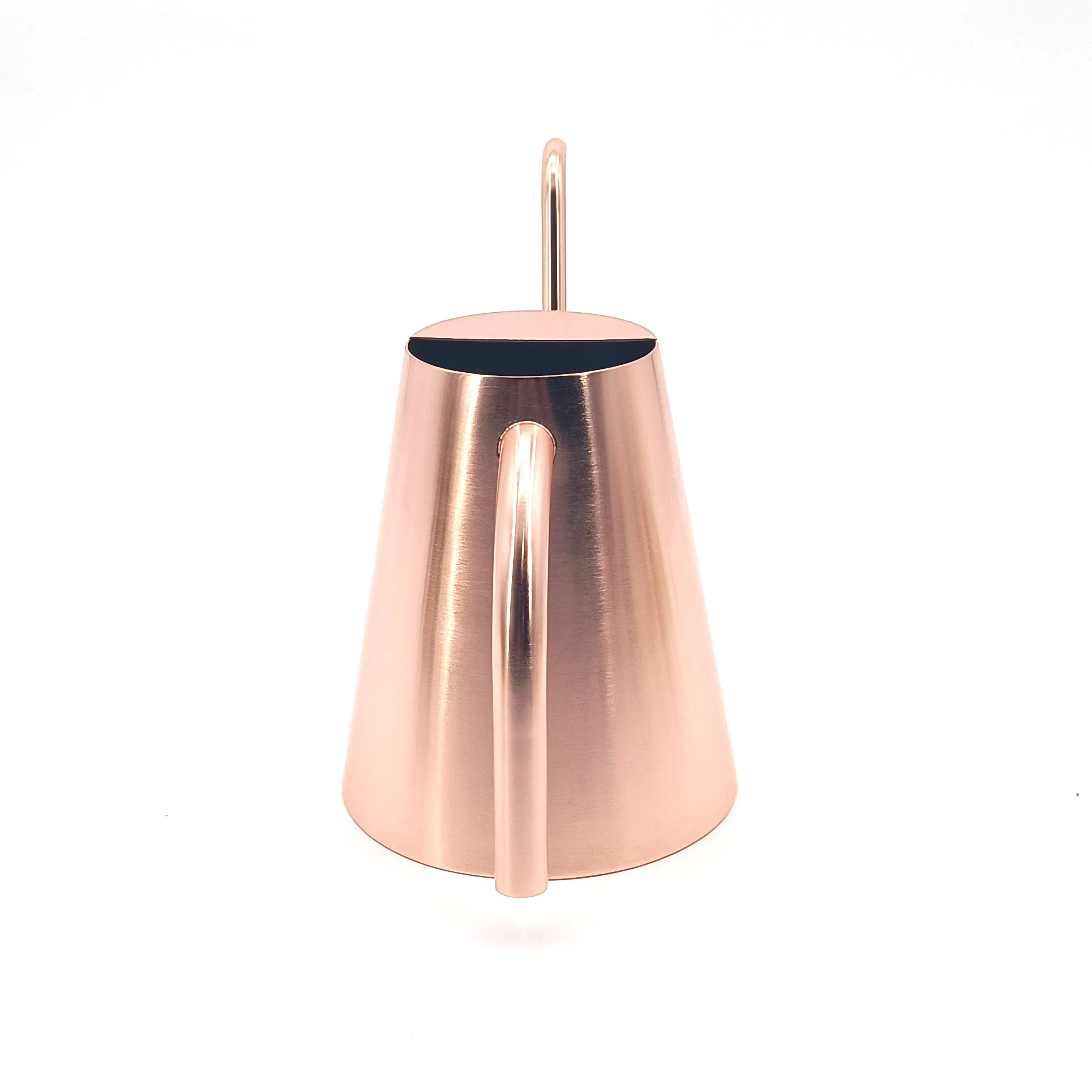 Factory Wholesale 1 Litre Stainless Steel Indoor House Household Plants Large Watering Cans in Bulk