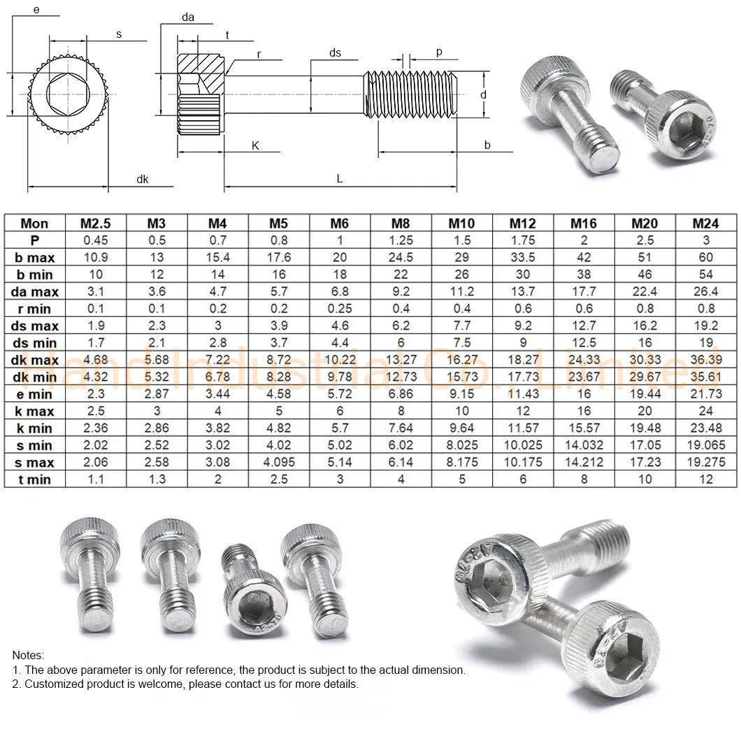 Stainless Steel 304 Socket Head Captive Screws
