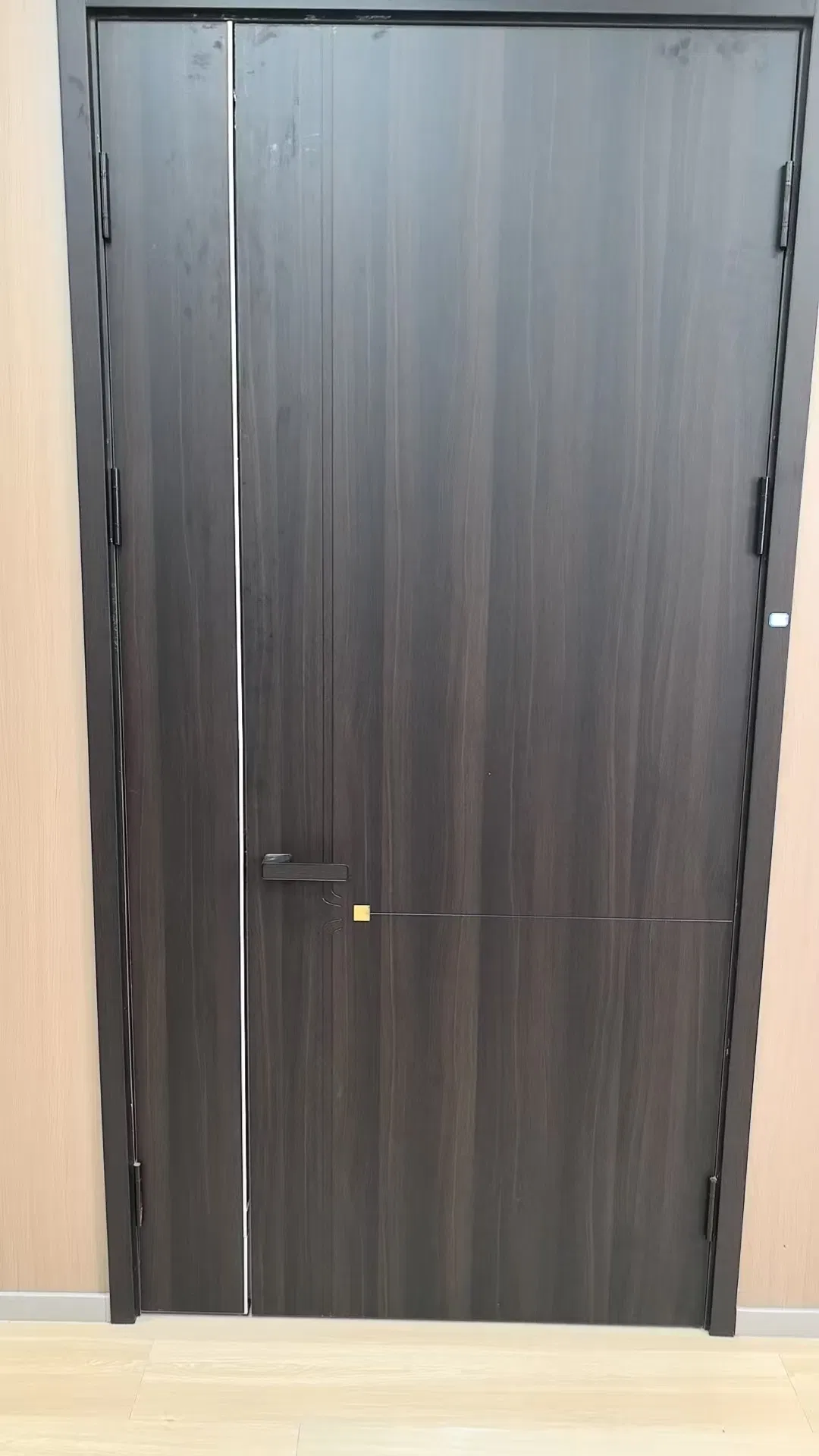 Customizable Fire-Resistant School Gate Doors for Enhanced Safety