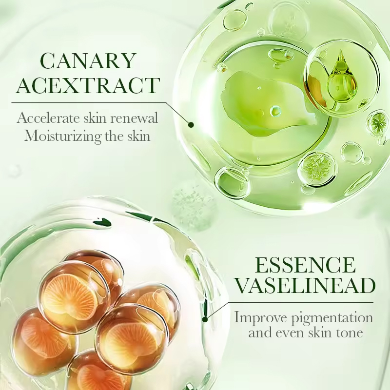 Ditong Shea Butter Raw Bulk Moisturizer Brightening Coconut Smooth Body Skin Body Lotion