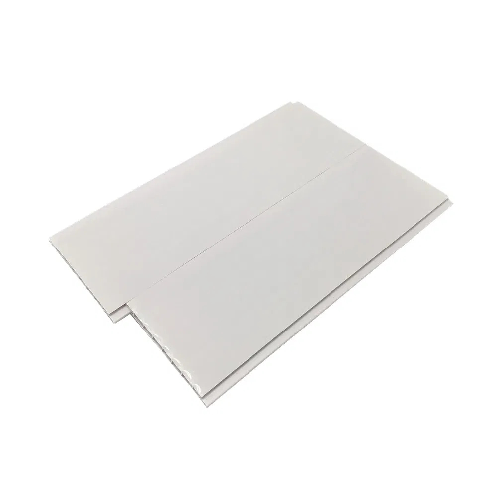 China Manufacturer Cielo Raso En PVC Blanco Ceiling and Wall Cladding Sheet White