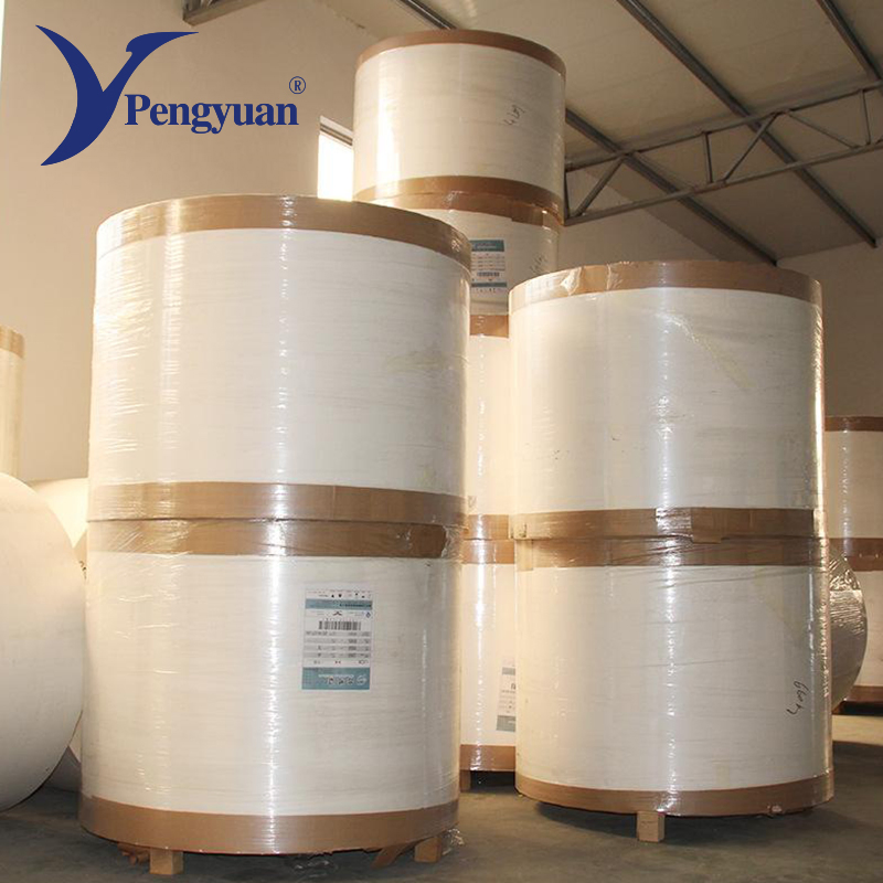 Coating Paper Cup Raw Material Cup Paper Stock Paper