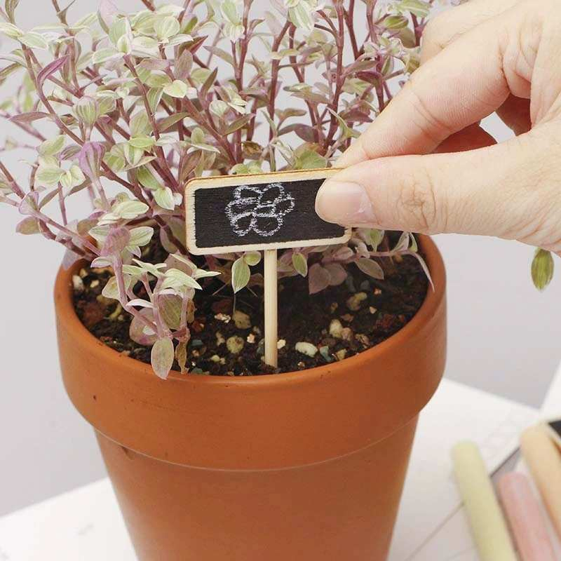 10PCS Outdoor Gardening Label Decoration Wooden Crafts Mini Blackboard Clip