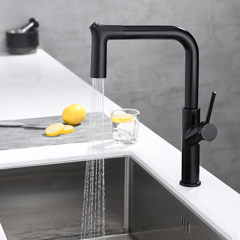 Tiema Luxury Black Water Brass Pull out Sink Kitchen Taps