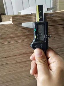 Customizable Pine Veneer Plywood for Lightweight Furniture Projects