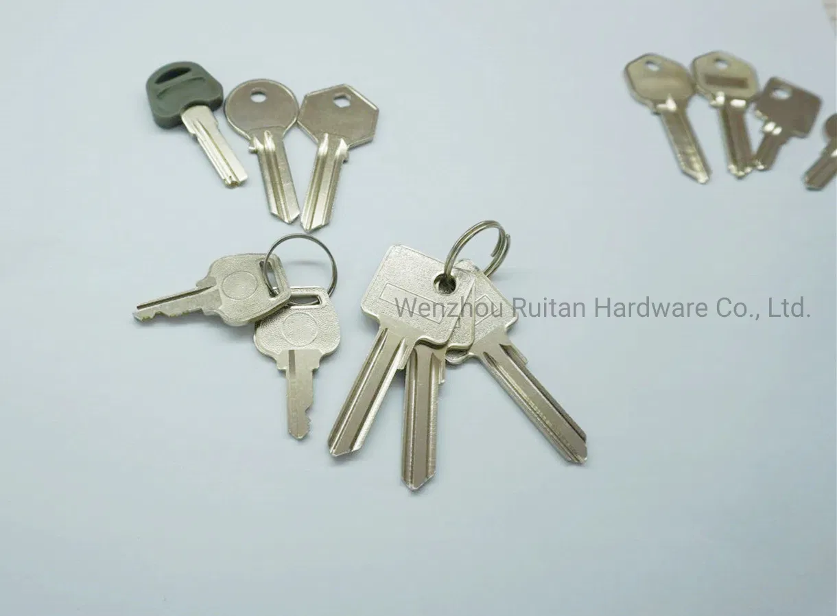 Customized High Quality Brass Key for Door