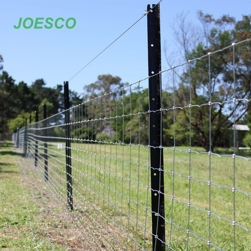 Black Coated Y Post Steel Fence Post Au Nz
